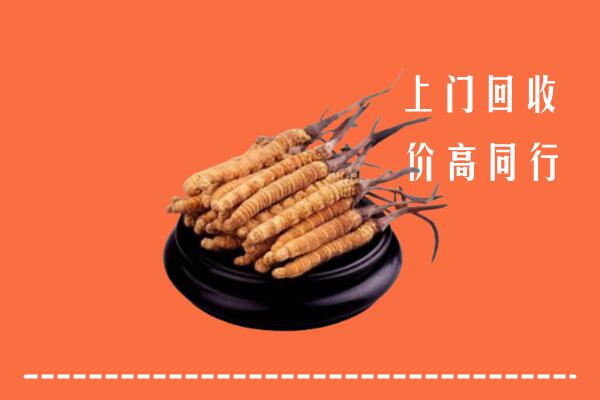 高价求购：会东回收散虫草