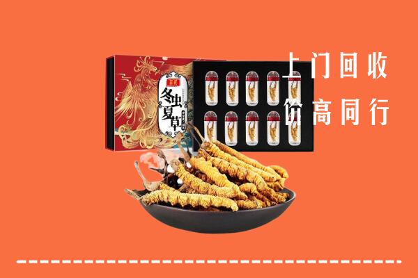 会东回收虫草